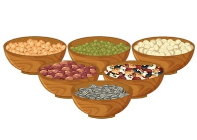 Sources de protéines végétales en nutrition.
