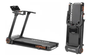 Meilleurs tapis de course pliables