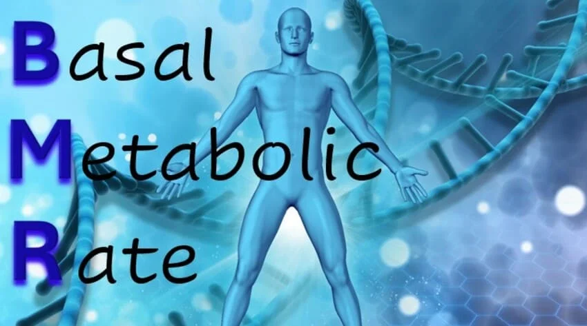 Calculer son métabolisme de base ou BMR pour connaitre ses besoins caloriques.
