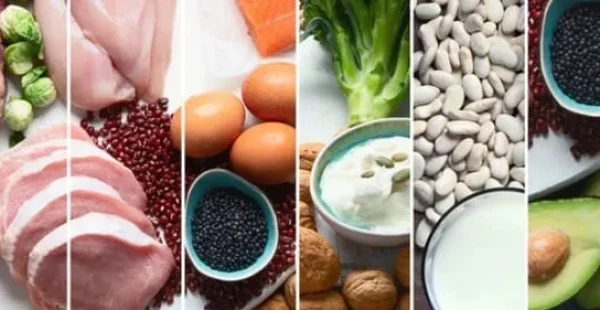Rôle, sources et apports des protéines en en nutrition sportive.
