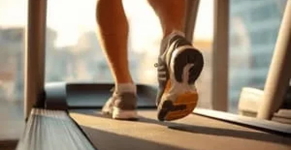 Cardio-training : Bienfaits et conseils pour brûler les graisses, améliorer son endurance.
